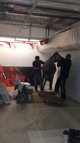 cows-have-arrived-.mp4