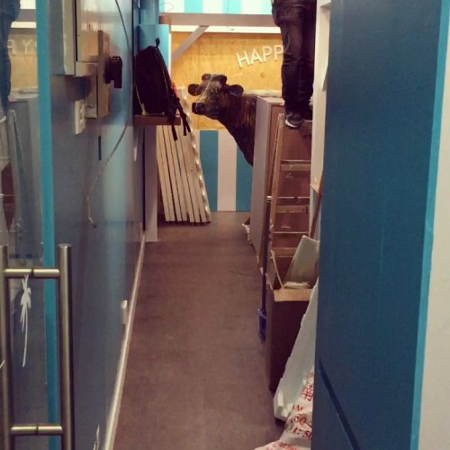 making-progress-on-our-hku-shop.mp4