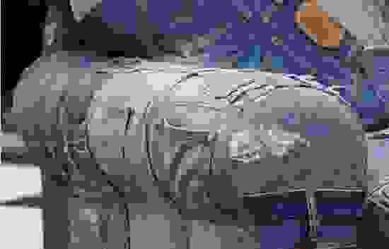 s203.jpg