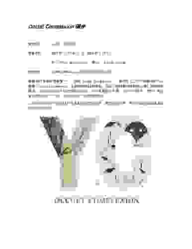 zhongwenchn_press-release_occult-complexion_accidental-art.pdf