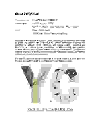 eng_press-release_occult-complexion_accidental-art.pdf