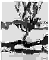 artwork-2.jpg