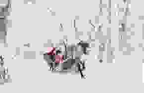 06.jpg