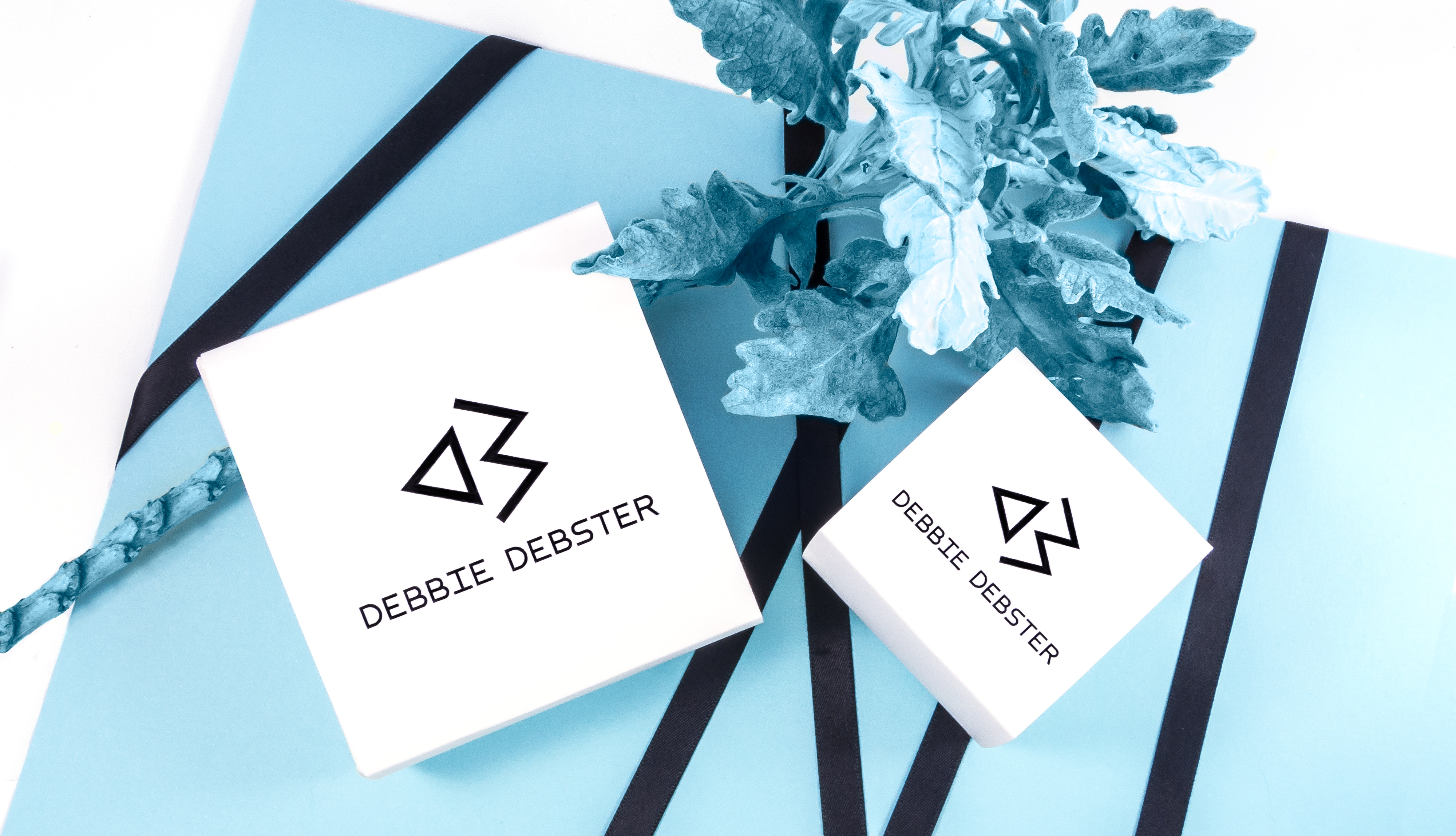 debbie debster packaging