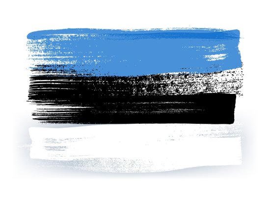 estonian_flag.jpg