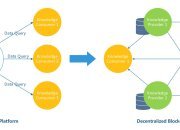 Back-to-back knowledge sharing network-the “support pillar” for digital asset investor protection and education