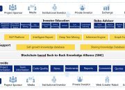 背靠背知識共享網路——數字資產投資者保護與教育的“定海神針”