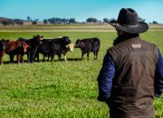 Farmer’s Market - Hong Kong’s Number 1 Online Butcher Offers Hormone and Antibiotic Free Meat and Seafood to Hong Kong Households