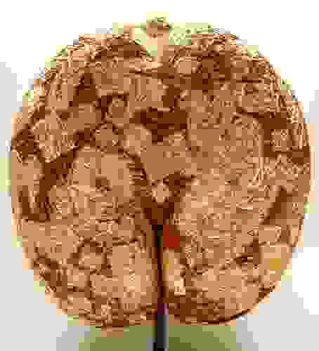 seed-of-life-by-marie-laure-viebel-france-room-4326.jpg