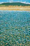 wet-feet-solveig-aodaliya-fangjian-4307.jpg
