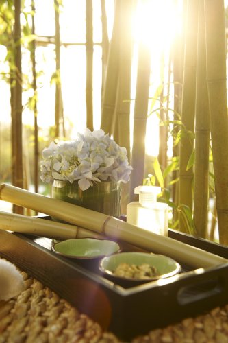 fairmont-peace-hotel-bamboo_tray_483639_standard.jpg
