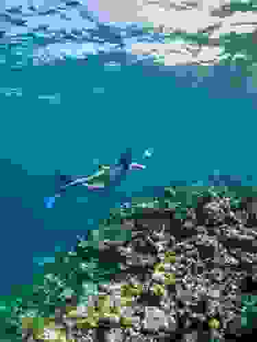 02-snorkeling.jpg