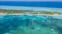 floating-solar-panels-in-the-sea.jpg