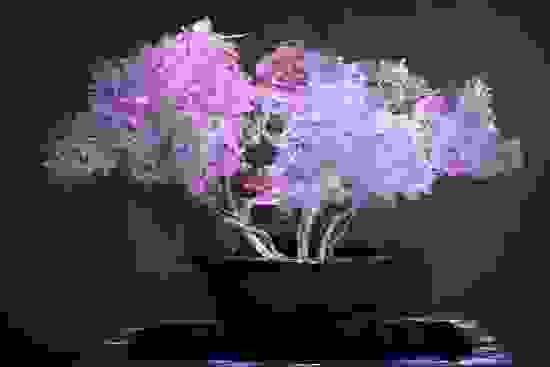 ousai.jpg