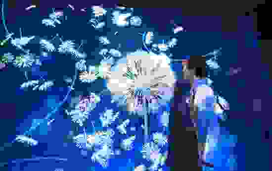 _w5a6837.jpg