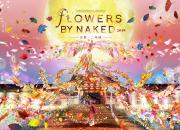 Immersive Art Experience at World Heritage Site Nijo-jo Castle, Kyoto – FLOWERS BY NAKED 2019 –