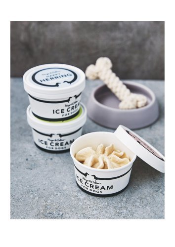 hugo-celine-ice-cream-for-dogs.jpg