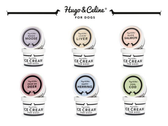 hugo-celine-ice-cream-for-dogs-flavours.jpeg