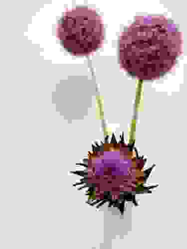 7d699eb2-c1ce-46c7-a80e-595692c6640c-13746-000006fd68df83d5.jpg