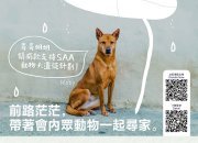 【新聞稿】SAA會内一眾被遺棄動物 急需明年底遷離現址 11月正式推出大型籌款計劃 募捐籌建新會址