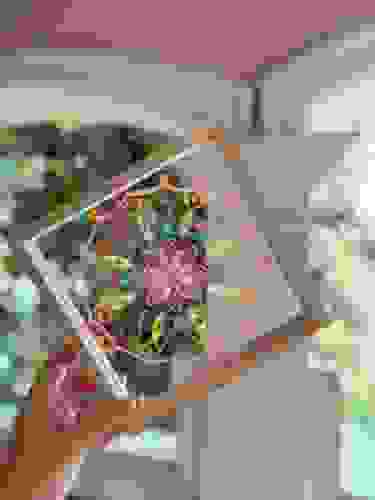 lianapressfile-1739520303001.jpg