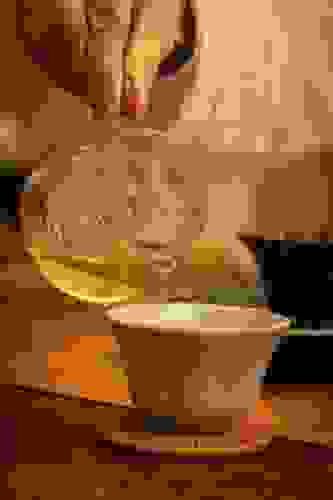 zhongshicha-e7-99-82.jpeg
