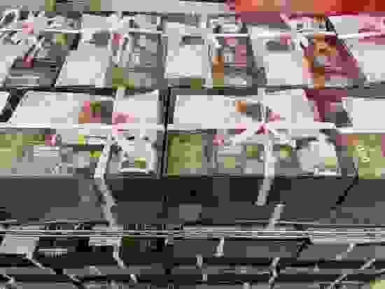 277734620_2722325811240856_6488718782335832105_n.jpg