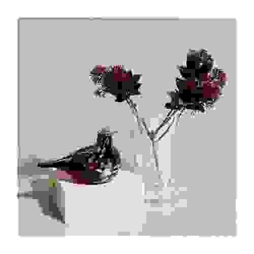 iittala.jpeg